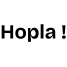 1 (2)-2