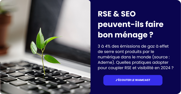 Visuel-wamcast-RSE-et-SEO
