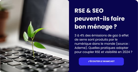 Visuel-wamcast-RSE-et-SEO