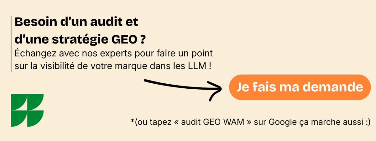 vignette audit GEO-2